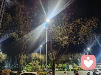 夜色柔软，像一双手轻轻接过你一天的疲惫。配图