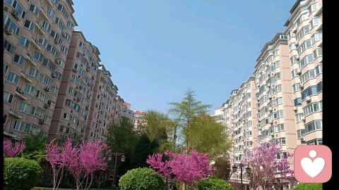 过度独立:伪装的坚强