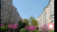 过度独立：伪装的坚强