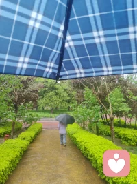 雨忽然落下，又忽然停——像极了人生的起落。