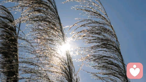 通透的代价:从创伤到觉醒