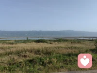 有些情绪像盐一样，时间久了自然会析出