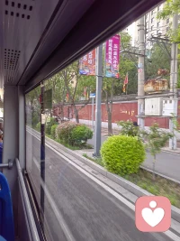 早高峰的车窗，装着一半晨光，一半奔赴。