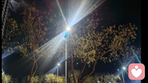 父爱缺席的五个残酷真相