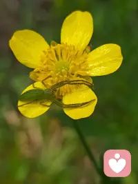 小小生命也浪漫，晒着太阳独享春天