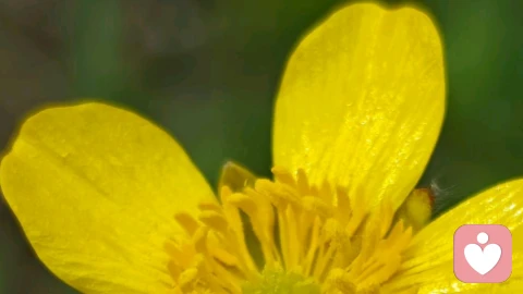 男生必看:心理学哄女友6招