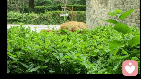 职场情绪四步法