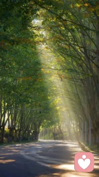 试着改变一下看自己的角度，或许你会发现世界不同了。