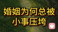 婚姻为何总被小事压垮