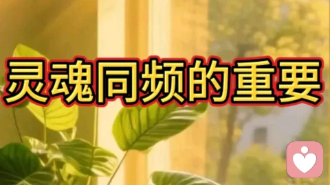 灵魂同频的重要