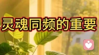 灵魂同频的重要