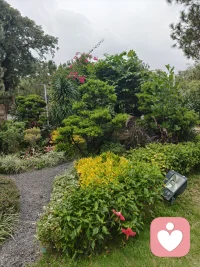 很多时候困住我们的，从来不是事情本身，而是不肯放过自己的执念。
允许自己有情绪，也允许自己暂时“停下来”。