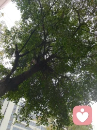 情绪内耗、人际烦恼、亲密关系里的困惑，都可以找我聊聊。
不评判、不指责，只做专属的情绪同行者，陪你梳理心绪，找回内心的平静