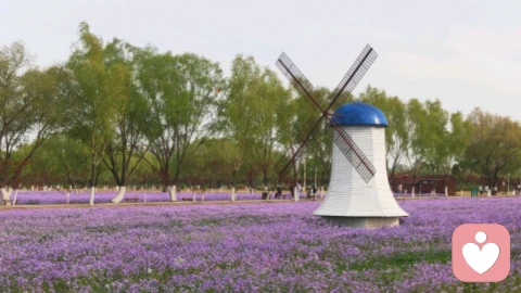 藏在心理学里的幸福密码