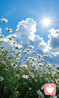 心理学上说：当你逐渐沉默，开始独来独往，不想辩解，不屑于讨好任何人，那么你绝不是变得内向，而是拥有了更高的境界配图