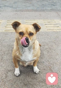 小舔狗🐶
怎么这么可爱!配图