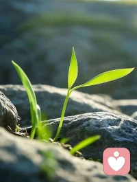 房子走出去，站在春天中间配图