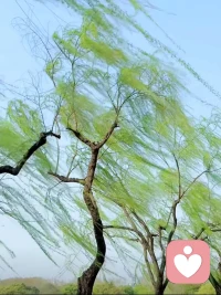 永远不要去责怪你生命中的任何人。无论你遇见谁，他都是你生命中该出现的人。好的人给你快乐，坏的人给你经历，差的人给你教训，最好的人给你回忆配图