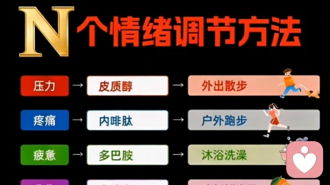解码情绪密码:从生理机制到生活实践