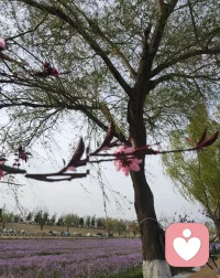 我们可以坦然的去表达情绪，但不必情绪化地表达，要完全破除不能有情绪的偏见。
情绪就像一阵风，来了就允许它轻轻流过，不必抓住，不必纠缠，更不必被它牵着走。允许自己难过，流泪，柔软，但一定别让情绪，变成伤害自己，消耗他人的力量。配图