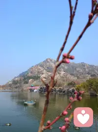 美吗，喜欢与你共赏