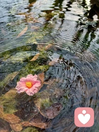 生命不是安排，而是追求
人生的意义也许永远也没有答案
但也要尽情的享受这种没有答案的人生
去拥抱更多的不确定性配图