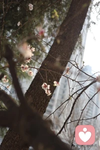 习惯性压抑情绪，身体比你更诚实。

那些咽下去的委屈、藏起来的愤怒、不敢表达的悲伤……
最终都会变成身体的3种变化，悄悄提醒你——该听听内心的声音了