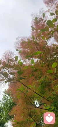 ‌人生短暂，何必为别人的错误耗尽自己？当你学会保护自己的边界，你会发现，那些值得的关系反而更加牢固。配图