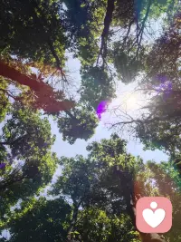 《杀死知更鸟》里有这样一段话：你永远不可能真正了解一个人，除非你穿上她的鞋子走来走去，站在她的角度思考问题。可真当你走过她的路时，你连路过都觉得难过。有时候你所看到的，并非事情真相，你了解的不过是浮在水面上的冰山一角。
三毛说，你对我的百般注解和识读，并不构成万分之一的我，却是一览无遗的你。配图