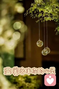 那些童年里缺失的爱，不是靠新的关系就能补回来的；那些被伤害过的伤口，不是靠别人的温柔就能抚平的。你要做的，不是在爱情里反复流浪，而是停下来，抱抱那个一直不安的自己，告诉她：没关系，你已经做得很好了，你不用靠别人的爱来证明自己的价值，你本身就值得被爱，值得被温柔对待。

你要学会，在别人爱你之前，先好好爱自己；在别人离开之前，先学会不害怕失去；在一次次的告别里，学会和自己和解，学会看见自己的价值，学会接纳自己的不完美。当你不再把爱情当成救命稻草，不再把别人的态度当成自我价值的标尺，你会发现，你不用再靠换伴侣来确认自己值得被爱，你本身，就足够珍贵。配图