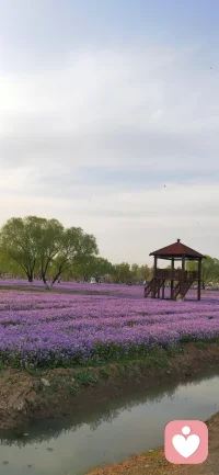父爱无声，却深似海，重如山，温暖岁岁年年，治愈我们往后余生的每一段旅程。

愿时光温柔以待，愿所有父亲，岁岁安康，岁岁无忧。配图