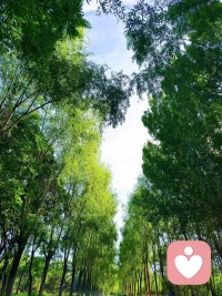 当一个人被彻底地听到，并被共情地理解时，他就能以一种新的眼光看世界，并继续前进。