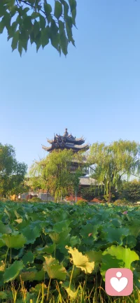 信念的力量你相信信念的力量吗？心理学有个原理叫作“自我实现的预言”。在这个原理的作用下，你心里所想的大多数事情都会变成现实。
 
跟你分享一个小故事。
 
从前有个算命先生，他算得很准，方圆几十公里的人都知道他，经常找他算命。算命先生能算别人，当然也能算他自己。有一天，他掐指一算，算到自己在某年某月某一日会有一劫过不去。

当一个人知道自己什么时候会离开这个世界时，他自然会安排好自己的后事。
 
在安排后事的过程中，消息传了出去，他的亲朋好友都知道了他哪一天会走。于是，到了那一天，他的亲朋好友都来到了他的家里，准备送他最后一程。

这位算命先生安排好所有后事后，也没有别的事情可做了，只能在房间里等。
 
可是从早上等到了中午，再从中午等到了晚上，眼看时间快到午夜子时了。要知道过了子时，他如果还不死，就表明他算得不准了。如果算得不准，那他有何面目再见父老乡亲、徒子徒孙呢？

为了维护自己一辈子的英名，他最终做了一个艰难的决定——他自杀了。
 
请问这位算命先生是怎么死的？对，他被自己给算死了。
 
当然，这个故事是我胡说八道的，别信哈，
不过，在现实生活中，类似的故事比比皆是。心理学研究发现，人们总会执着于证明自己是对的，当一个人内心坚定地相信某一件事时，他就会创造出各种各样的条件让这件事变成现实。

这就是“自我实现的预言”。
 
为什么会这样呢？因为人们的思想会决定行为，而行为会产生结果，行为结果的累积就是一个人的命运。。