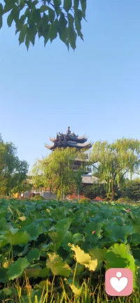 接上篇
《失乐园》中有这样一句话：心是居其位，只在一念之间，天堂变地狱，地狱变天堂。

这句话的意思是说，千万不要小看任何一个微小的念头，它可能会产生非常巨大的力量。
 
信念本身是一种不可思议的力量，积极正面的信念，会让你的生活变得更好。相反，悲观、自我怀疑甚至自我攻击的信念则会损耗你的好运。
 
电脑中毒了，会死机。人脑如果中了思想的病毒，也会毒害你的一生。所以如果你想改变人生，不妨从改变内在的信念开始，让自己持续拥有积极正面的信念。

你内在有怎样的信念，影响过你的人生呢？
欢迎评论区分享。