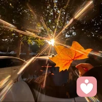 用心倾听，用爱回应配图