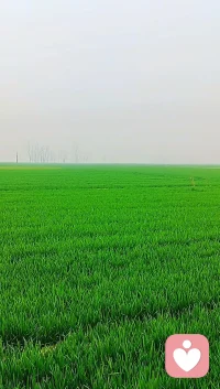 晨起的生机是最向上的力量💪