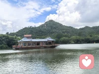 心情不美丽，也会瞬间被治愈，真好，感恩自己所拥有的一切！或许不是最好的，但一定是目前最适合的！