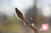 你的经历从来不是为了蹉跎你 没有白经历的 是岁月给你留下的财富配图