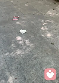 世间万物都在默默承载人类，只是它们不会言语。你看这片大地，人往它身上丢弃污秽、抛洒垃圾，它从无一句埋怨，依旧默默包容、滋养万物。人却稍有不顺，便满腹牢骚、怨天尤人。大地本无心、无眼耳鼻舌身意，所以不生情绪、不起分别。若它也如人一般有感知、有好恶，恐怕也会嗔恨烦躁。做人当学大地之德，包容不争、少执少怨，心宽则路宽。配图