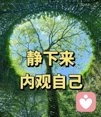我们大半心理痛苦，都是在和自己死较劲。执念我本无错、错皆他人，内在相互撕扯两败俱伤。唯有和解原谅自己、不再硬刚内心，情绪自会安定，身心能量瞬间通透舒展。