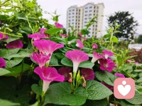 你我如此短暂，人生一定要灿烂！