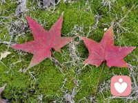 忘了过去的晚上，享受今日的暖阳。