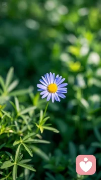 心里的光还有多少？路上的光还有多亮？配图