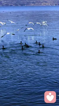 缘起，我在人群中看见你
缘灭，我看见你在人群中配图