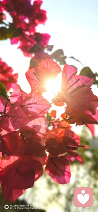 看到一段很温柔治愈的话:“我突然意识到自己真的很好，因为我永远乐观，坚强勇敢，即便遇到难过的事，也只是晚上哭一哭颓废。但是，我还是依旧热爱所有，我依旧敢与生活顶撞，敢在逆境里撒野，直面生活的污水，永远乐意为新的一轮月亮和日落欢呼。” - 很有力量的一段话:每个人的一生中总会有那么一段难熬的岁月，我们所遇到的事，好坏都是相对的。 - 好事并非一定好，坏事也不是绝对的坏。我们不需要因为一时的不顺觉得沮丧，也不能觉得一路走下来太顺心而得意忘形。 - 谁的生活不是一地鸡毛，大家都是普通人，过好自己就好。钱没了可以再挣，工作没了也可以再找，朋友没了可以再交，爱情没了可以再遇，人生本来就一无所有，何惧从头再来。 - 山有顶峰，湖有彼岸，在人生漫漫长途中，万物皆有回转。 请你相信，一切终有回报。配图