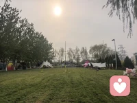 关于“回避型依恋”的深度重构与破局
一、 镜像诊断：防御，是灵魂的防弹衣
    在咨询期间，我见过无数优秀的灵魂，却在亲密关系里活成了孤岛。
他们不是冷漠，而是极度害怕“碎掉”。

场景 1： 对至亲的疏离。惦记父母，却点不下拨号键，那是对“情感卷入”的无意识排斥。

场景 2： 社交安全边际。表面谈笑风生，内心雷达密布。一旦有人试图越界，防御系统瞬间“嗡”地一声全面开启。

场景 3： 情感“下头”。暧昧期的甜蜜在表白瞬间变成窒息，因为对他们而言，被爱不仅是温暖，更是丧失独立性的威胁。

这根本不是社恐，而是刻在骨子里的“回避型依恋”。

二、 溯源解剖：那些“独自生长”的因果
每一个“爱无能”的成年人，童年剧本里都写满了“过早的成熟”。
跌倒时的寂静，委屈时的噤声，让他们在最需要安全感的年纪，被迫学会了最悲凉的生存技能：“不依赖任何人，就不会被任何人伤害。”

他们把“不给别人添麻烦”当成勋章，却在潜意识里把“自我封闭”刻进了 DNA。长大后，他们一边渴望篝火，一边畏惧灼伤，在矛盾中将生命力消耗殆尽。

三、 认知觉醒：心理资产的“重新审计”
作为倾听师，我的任务不是教你如何讨好别人，而是带你完成一次“心理平仓”。
回避型人格的本质，是把“我不值得被爱”当作了负债。我们要通过认知微调，找回那个“时刻准备逃跑”的自己。记住，安全感不是求来的，是自我的内核重塑。

四、 实战破局：给心灵松绑的三步进阶法
1. 直面恐惧清单（曝露法）
当逃避冲动袭来，逼自己写下：“我现在到底在害怕什么？”
是怕暴露缺点？怕丧失主权？还是怕终将失去？
当黑暗被灯光照亮，它便失去了吞噬你的力量。

2. 重建内核价值（自我效能）
回避的底层是自卑。
每天对着镜子练习：“我值得被坚定选择，我不需要完美才有资格被爱。” 这种心理建设，是修复旧程序的唯一代码。

3. 情感微探险（脱敏法）
用 1% 的改变撬动人生。
主动打一通电话，接受一次简单的邀约。在想推开爱人时，试着说出脆弱：“我现在有点焦虑，想独处一会儿，但我不是不爱你。”
表达脆弱，才是真正的强者行为。
以上三个问题，你卡在第几步？私信我，我陪你做一次深度复盘。”配图