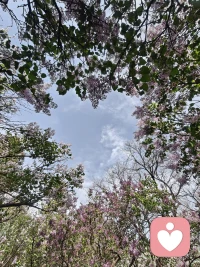 关于“回避型依恋”的深度重构与破局
一、 镜像诊断：防御，是灵魂的防弹衣
    在咨询期间，我见过无数优秀的灵魂，却在亲密关系里活成了孤岛。
他们不是冷漠，而是极度害怕“碎掉”。

场景 1： 对至亲的疏离。惦记父母，却点不下拨号键，那是对“情感卷入”的无意识排斥。

场景 2： 社交安全边际。表面谈笑风生，内心雷达密布。一旦有人试图越界，防御系统瞬间“嗡”地一声全面开启。

场景 3： 情感“下头”。暧昧期的甜蜜在表白瞬间变成窒息，因为对他们而言，被爱不仅是温暖，更是丧失独立性的威胁。

这根本不是社恐，而是刻在骨子里的“回避型依恋”。

二、 溯源解剖：那些“独自生长”的因果
每一个“爱无能”的成年人，童年剧本里都写满了“过早的成熟”。
跌倒时的寂静，委屈时的噤声，让他们在最需要安全感的年纪，被迫学会了最悲凉的生存技能：“不依赖任何人，就不会被任何人伤害。”

他们把“不给别人添麻烦”当成勋章，却在潜意识里把“自我封闭”刻进了 DNA。长大后，他们一边渴望篝火，一边畏惧灼伤，在矛盾中将生命力消耗殆尽。

三、 认知觉醒：心理资产的“重新审计”
作为倾听师，我的任务不是教你如何讨好别人，而是带你完成一次“心理平仓”。
回避型人格的本质，是把“我不值得被爱”当作了负债。我们要通过认知微调，找回那个“时刻准备逃跑”的自己。记住，安全感不是求来的，是自我的内核重塑。

四、 实战破局：给心灵松绑的三步进阶法
1. 直面恐惧清单（曝露法）
当逃避冲动袭来，逼自己写下：“我现在到底在害怕什么？”
是怕暴露缺点？怕丧失主权？还是怕终将失去？
当黑暗被灯光照亮，它便失去了吞噬你的力量。

2. 重建内核价值（自我效能）
回避的底层是自卑。
每天对着镜子练习：“我值得被坚定选择，我不需要完美才有资格被爱。” 这种心理建设，是修复旧程序的唯一代码。

3. 情感微探险（脱敏法）
用 1% 的改变撬动人生。
主动打一通电话，接受一次简单的邀约。在想推开爱人时，试着说出脆弱：“我现在有点焦虑，想独处一会儿，但我不是不爱你。”
表达脆弱，才是真正的强者行为。
以上三个问题，你卡在第几步？私信我，我陪你做一次深度复盘。”配图