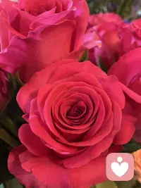 用花花治愈心情，赋予自然的力量配图