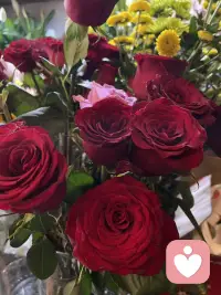 今日好看的花花来了，一起欣赏下吧，朋友们配图