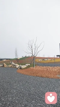 今早起来有这个领悟，别人生活的好坏不由我定义，同样我生活的好坏也不由别人定义。不过是各自选择了适合自己的生活方式而已。

前段时间收到一个老朋友的来电，朋友不经意的提到他们曾经的另一个朋友，说对方现在变了很多……变好了很多……

不由的让我想起一句话，我眼中的好并不一定是别人以为的好，我眼中的不好，也并不耽误别人认为的好。所有的好与不好皆因自己喜好，如果这个喜好是对你的口味，而其他人也心向往之，这只能说明我们的喜好相同，有些人喜好不同而已。

我们并不能因为喜好相同就觉得是好的，喜好不同就是不好的。就如我们不能评判爱学习的孩子就好的，不爱学习，喜欢打篮球的孩子就是不好的一样，他们本质是相同的，没有谁对谁错，高低贵贱之间的差别。

我们不会因喜欢学习的孩子就是好的，对的，高的，而喜欢篮球，画画，唱歌的就是不好的，不对的，不是这样的。

这两者并无本质差别，没有谁对谁错，没有高低贵贱，只是各自的选择和喜好不同而已。

说回朋友的来电的定义，值得思考“她变好了”这个好是以什么为标准？谁的标准？谁定义的？其他人可以评判别人的人生吗？

我们总以为自己是对的，其实我们只是做了对自己来说，适合自己的选择，那这个选择适不适合别人，别人喜不喜欢，我们是不知道的。

所以我们只是在各自的人生里做这适合自己的选择而已。

愿我们都能活出属于自己的人生！